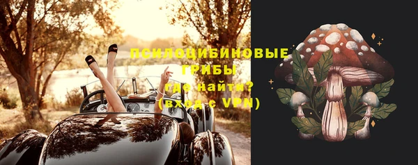 бошки Верея