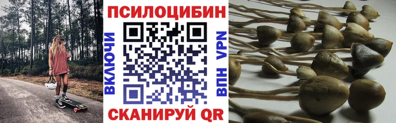 Псилоцибиновые грибы мухоморы  Майкоп 